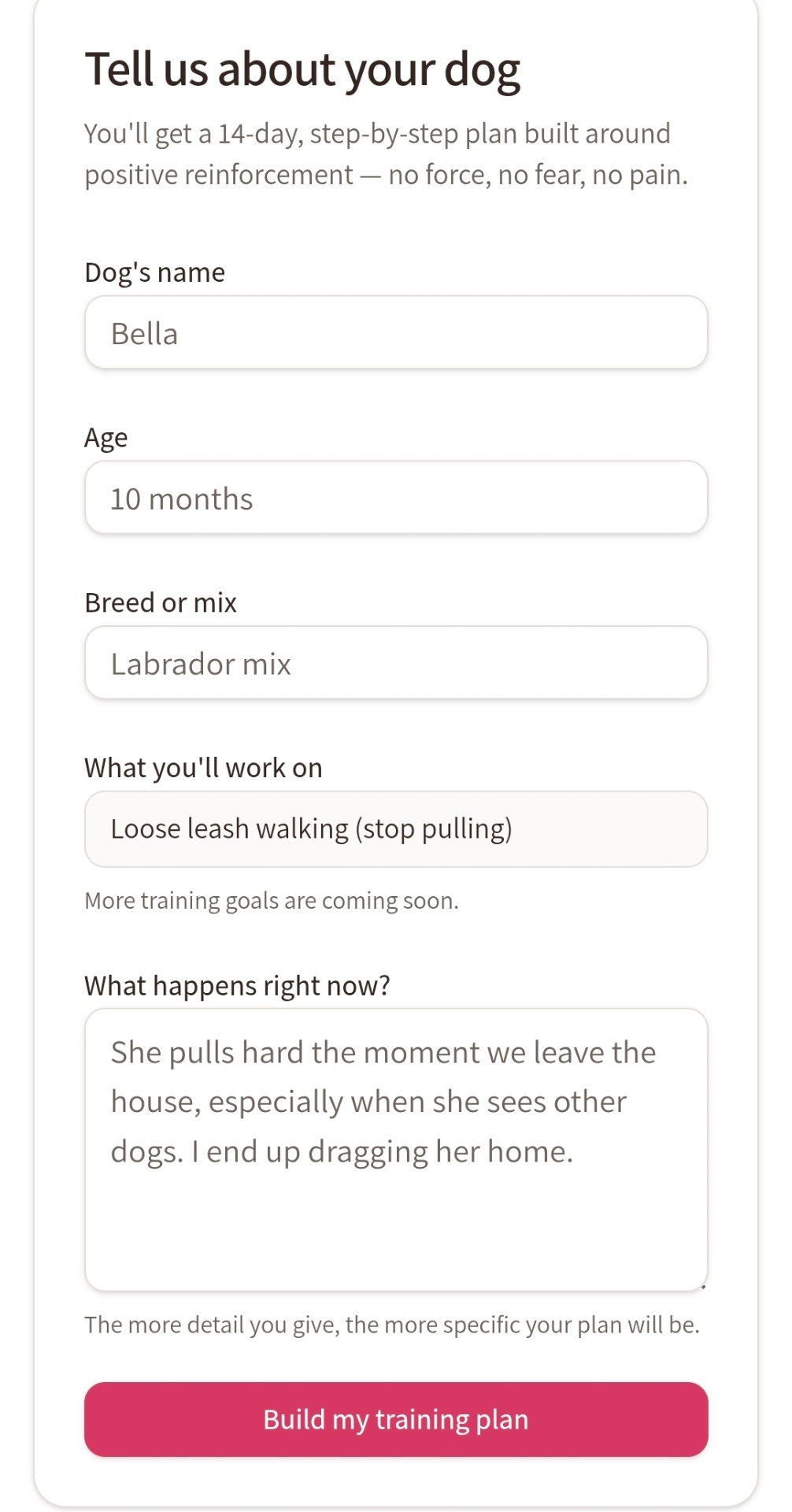 The Loose Leash Plan form where you enter your dog's name, age, breed and training goal